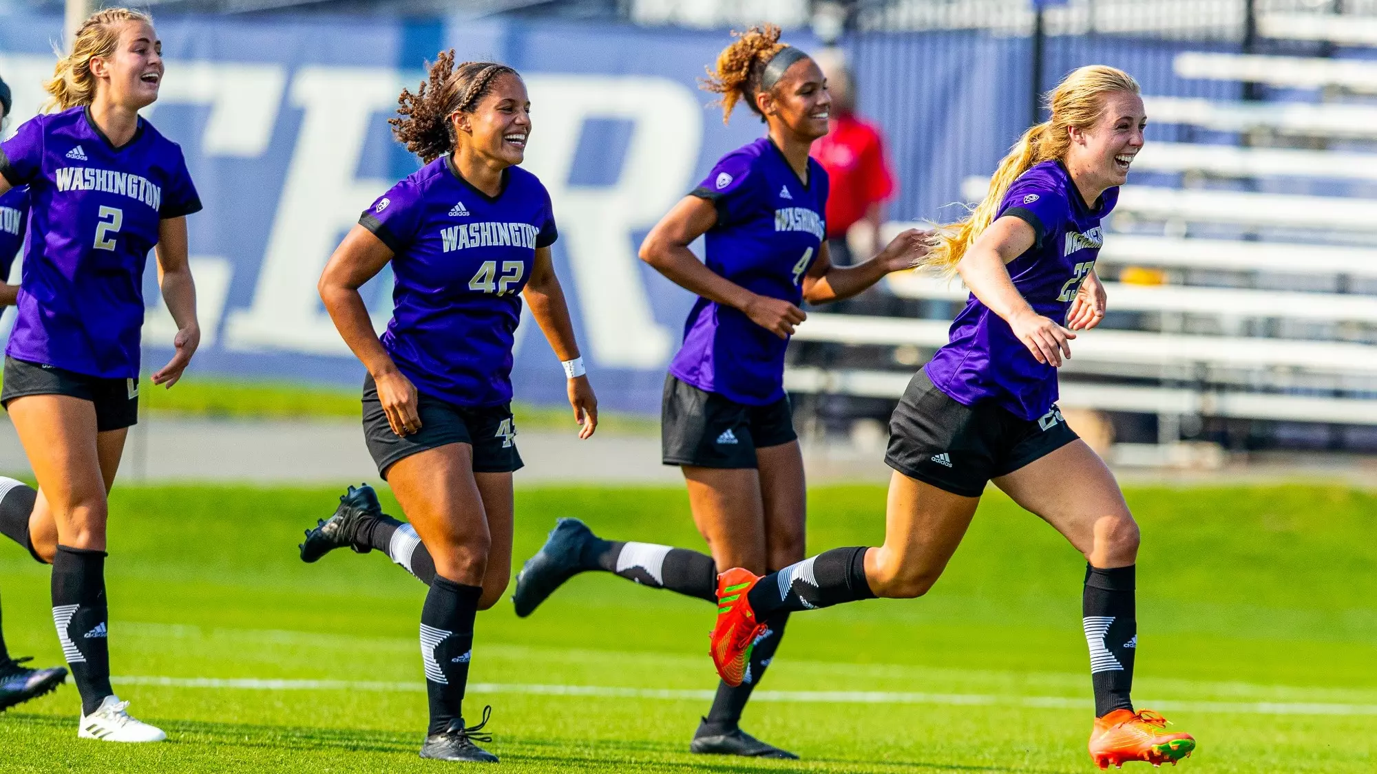 关注和重新 关注和重新