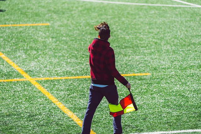 以往的数据 以往的数据