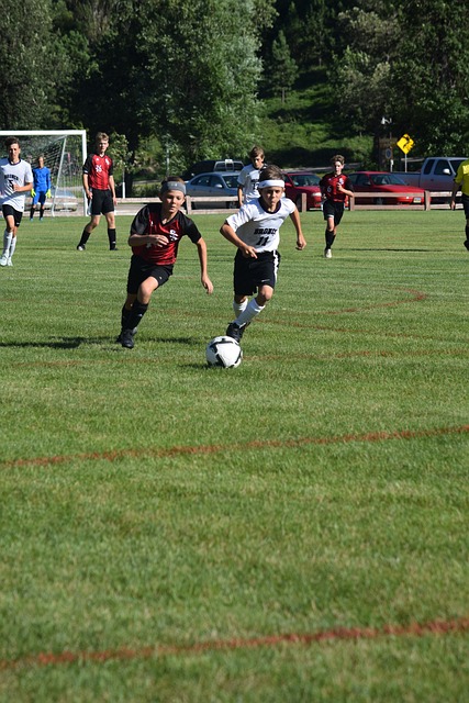 每年都吸引 每年都吸引