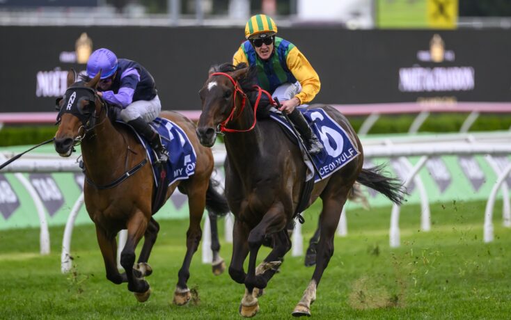 胜利策略 胜利策略