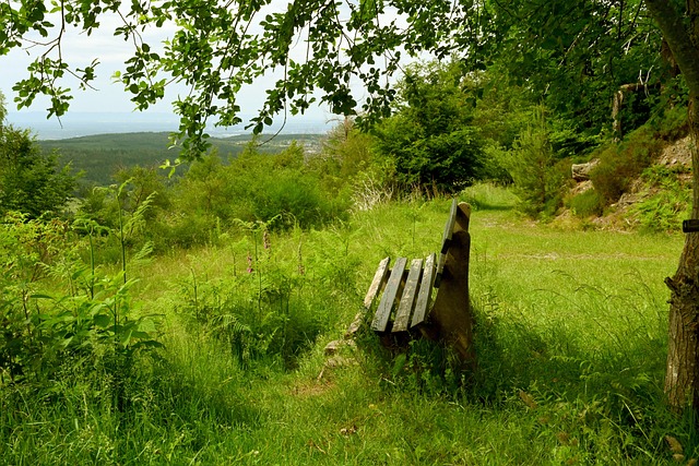 还能从中汲 还能从中汲