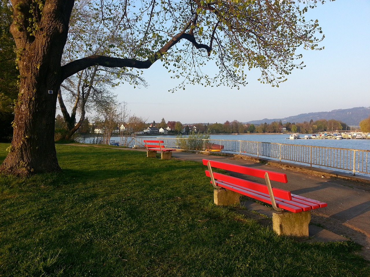 媒体人：特鲁西埃下课给亚洲各国警示，别被多年前的名帅光环迷惑.