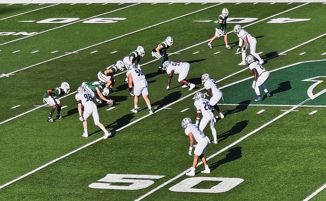 的重要地位 的重要地位